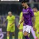 Serie A Kembali Makan Korban dari Argentina, Nico Gonzalez Alami Cedera saat Bela Fiorentina